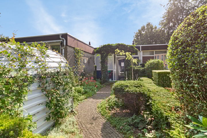 Vogelkersweg 13