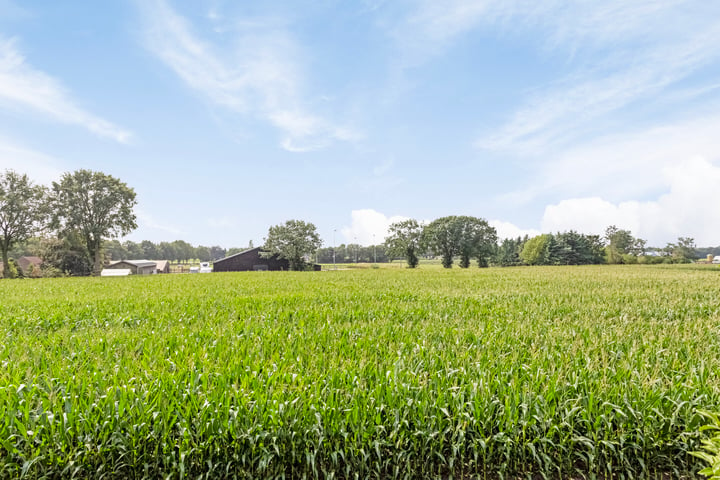 Bekijk foto 36 van Hoogveld 9