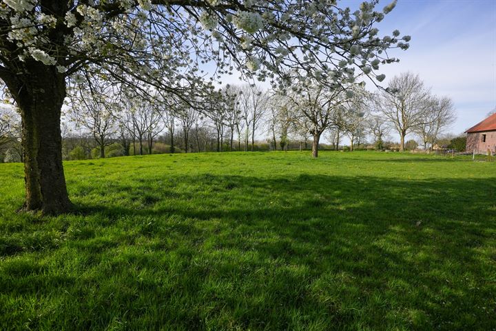 Bekijk foto 42 van Mheerderweg 61