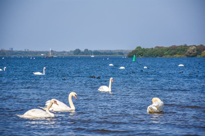 Bekijk foto 43 van Adama van Scheltemalaan 20