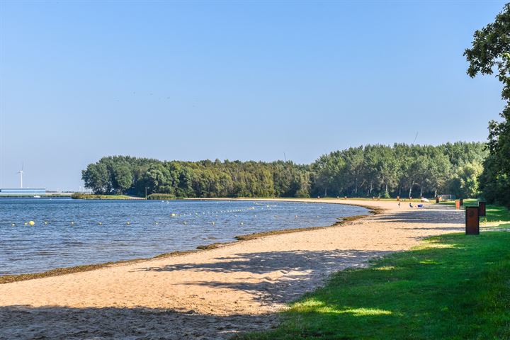 Bekijk foto 44 van Adama van Scheltemalaan 20