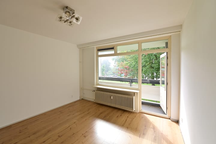 Foto 2 van Bolestein 740