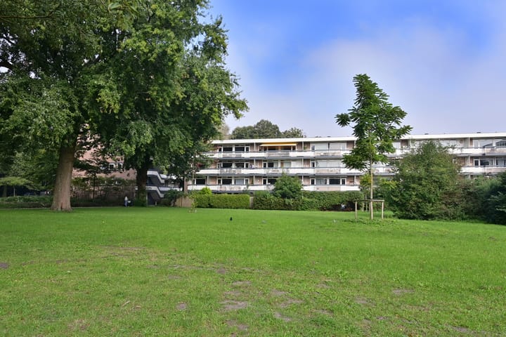 Foto 4 van Bolestein 740