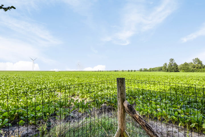 Bekijk foto 31 van Nieuwe Noorddijkseweg 1-A