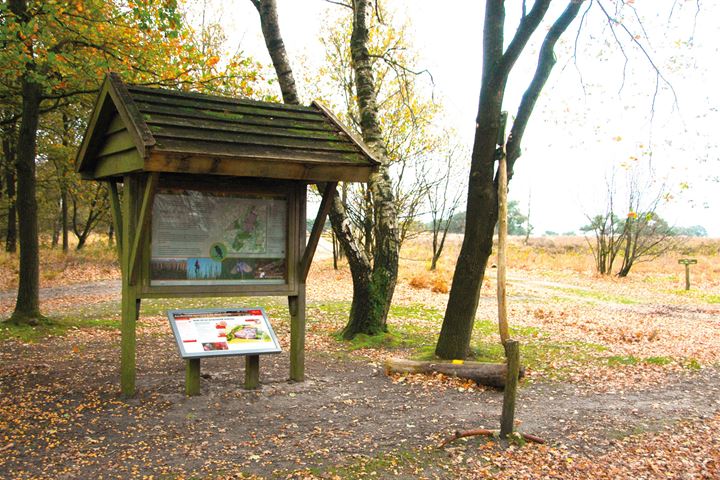 Bekijk foto 46 van Brabantlaan 1