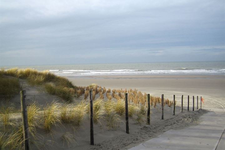 Bekijk foto 37 van Lage Nieuwstraat 336