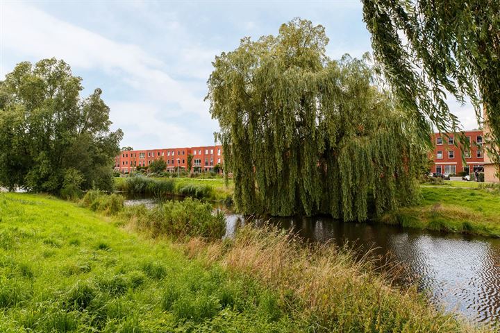 Bekijk foto 41 van Daelwijcklaan 188