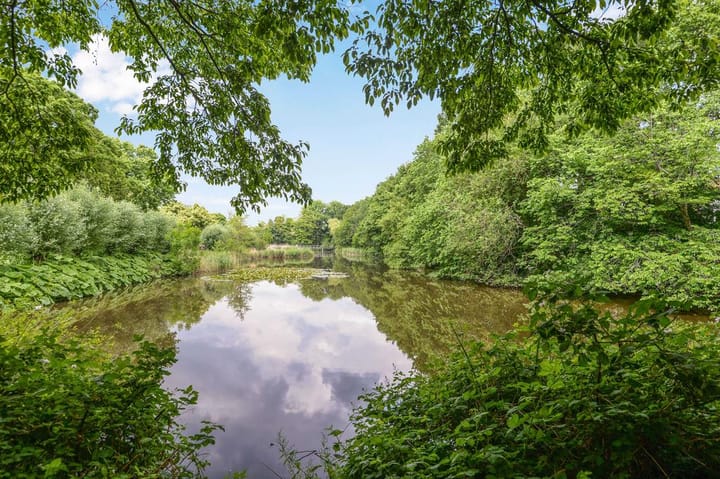 Foto 29 van Middenweg 113-2