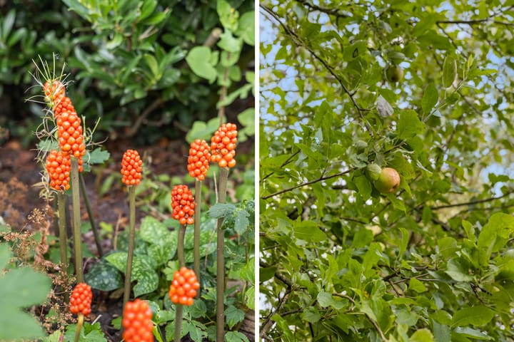 Foto 9 van Marrumerweg 4