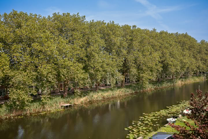 Foto 46 van Burgemeester Versteeghsingel 15