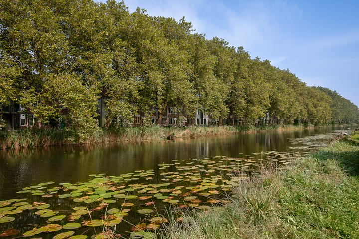 Foto 61 van Burgemeester Versteeghsingel 15