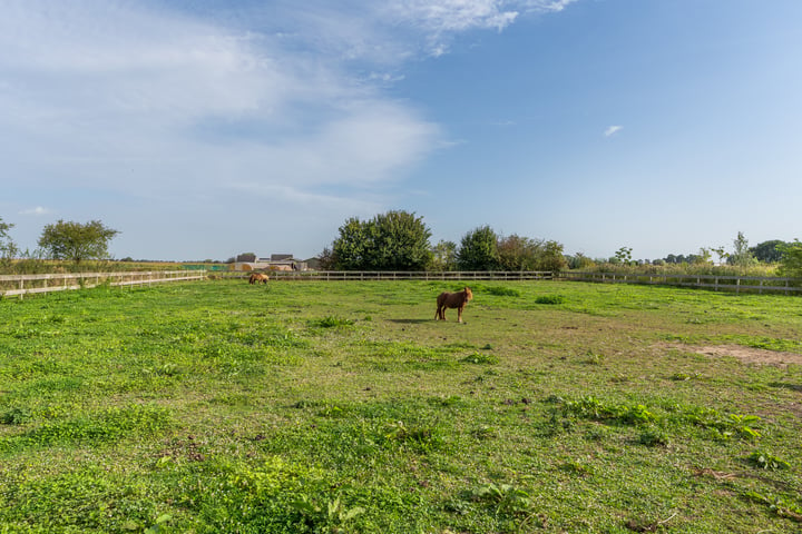 Bekijk foto 45 van Middelingenseweg 20