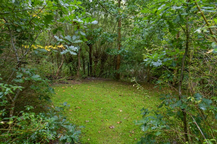 Foto 20 van De Rug 3-165