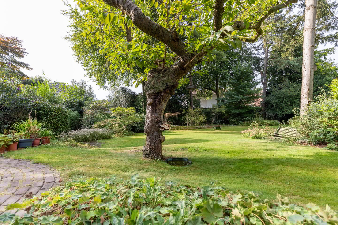 Photo 20 of De Rijklaan 3