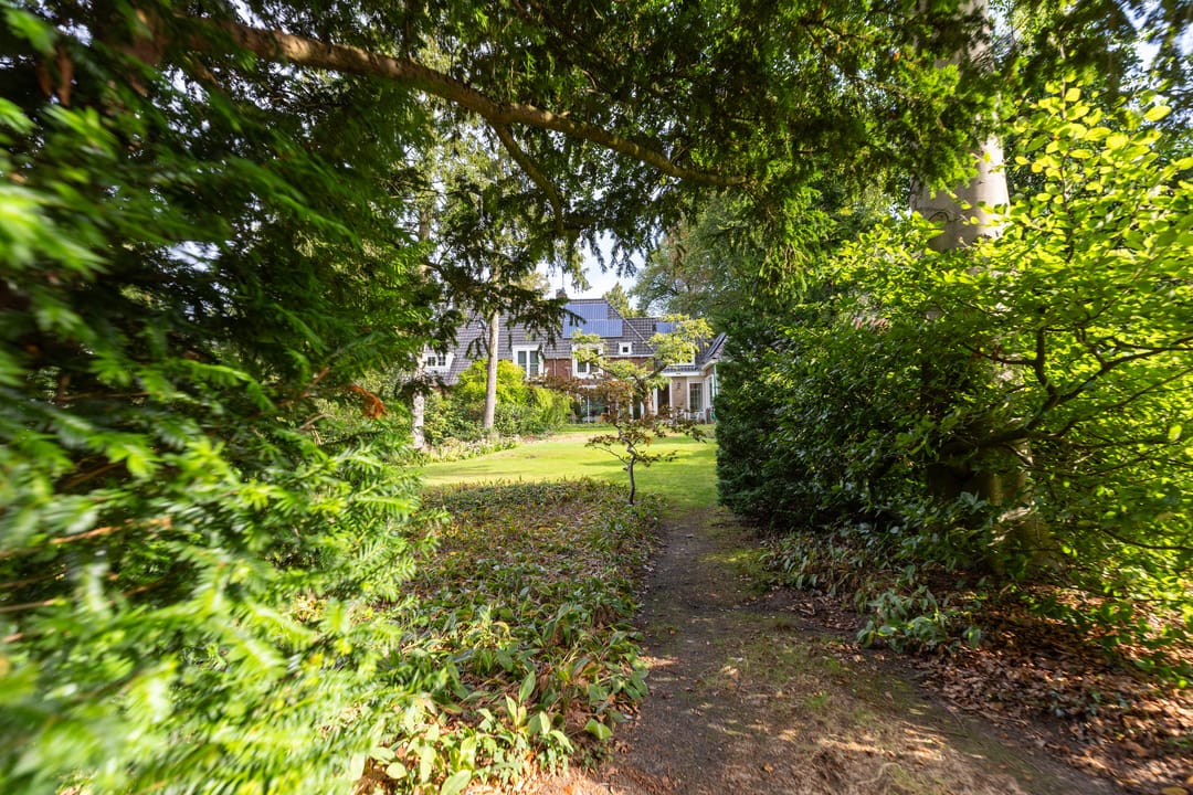 Photo 26 of De Rijklaan 3