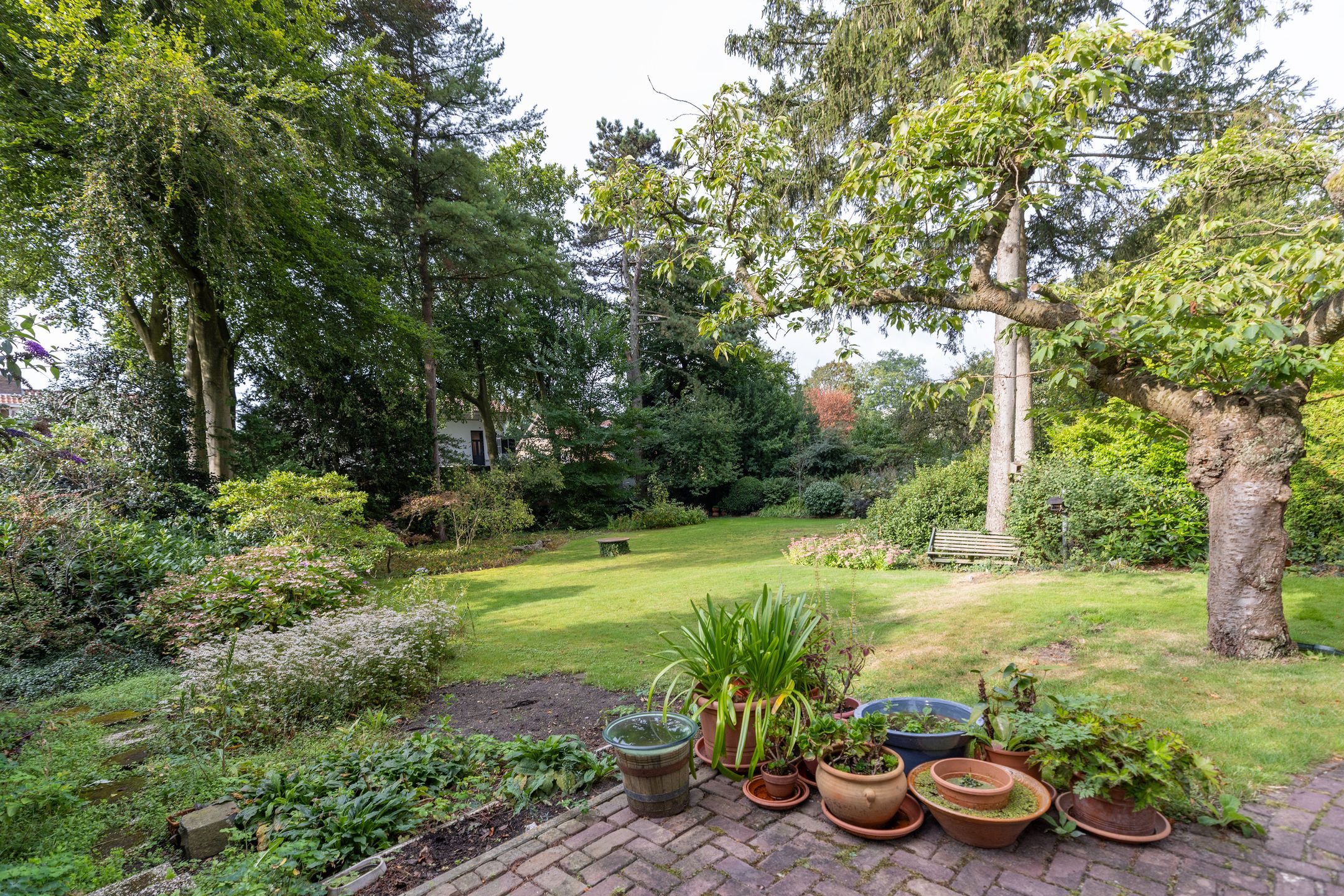 Photo 3 of De Rijklaan 3