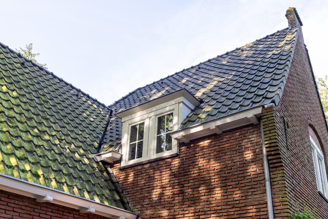 Photo 53 of De Rijklaan 3