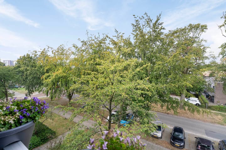 Photo 6 of Nieuwe Mollenhutseweg 55