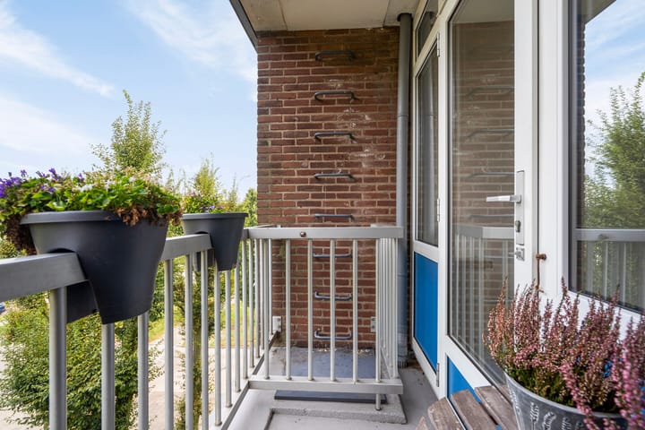 Photo 11 of Nieuwe Mollenhutseweg 55