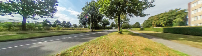 Bekijk 360° foto van Straatbeld van Rijn 61