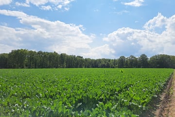 Bekijk foto's