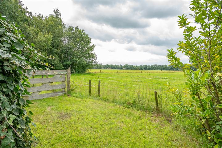 Bekijk foto 47 van Pluimersdijk 25-B