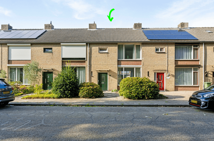 undefined main image