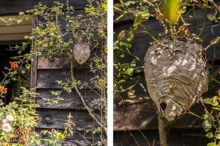 Foto 55 van Deurnestraat 3