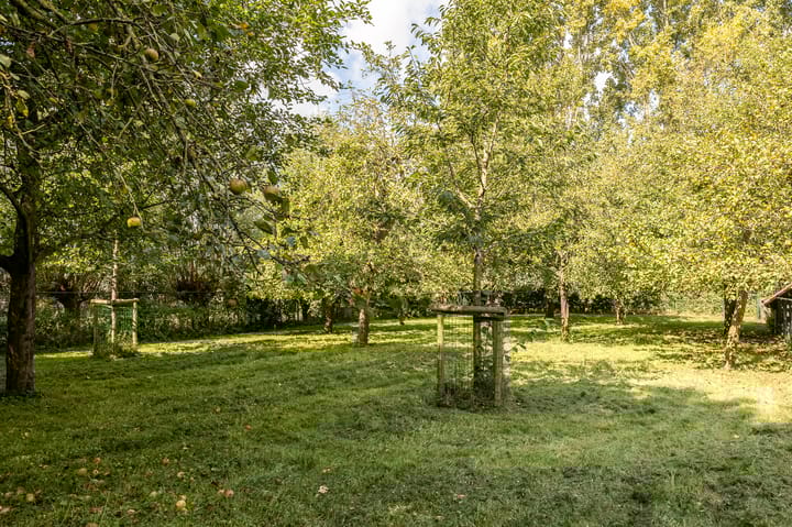 Foto 69 van Deurnestraat 3