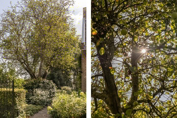 Foto 70 van Deurnestraat 3