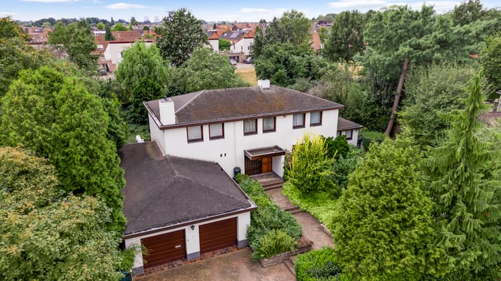 Foto 1 van Belleboom 29