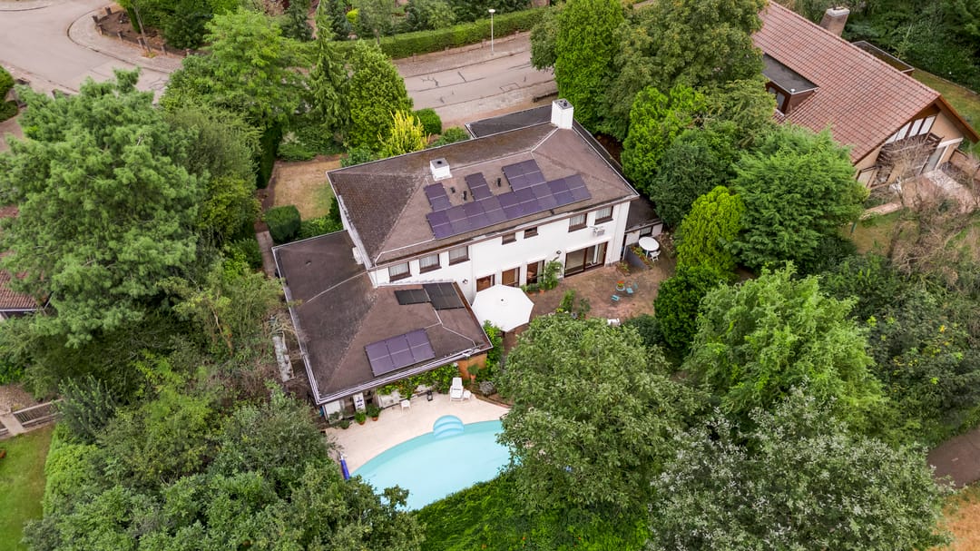 Foto 2 van Belleboom 29