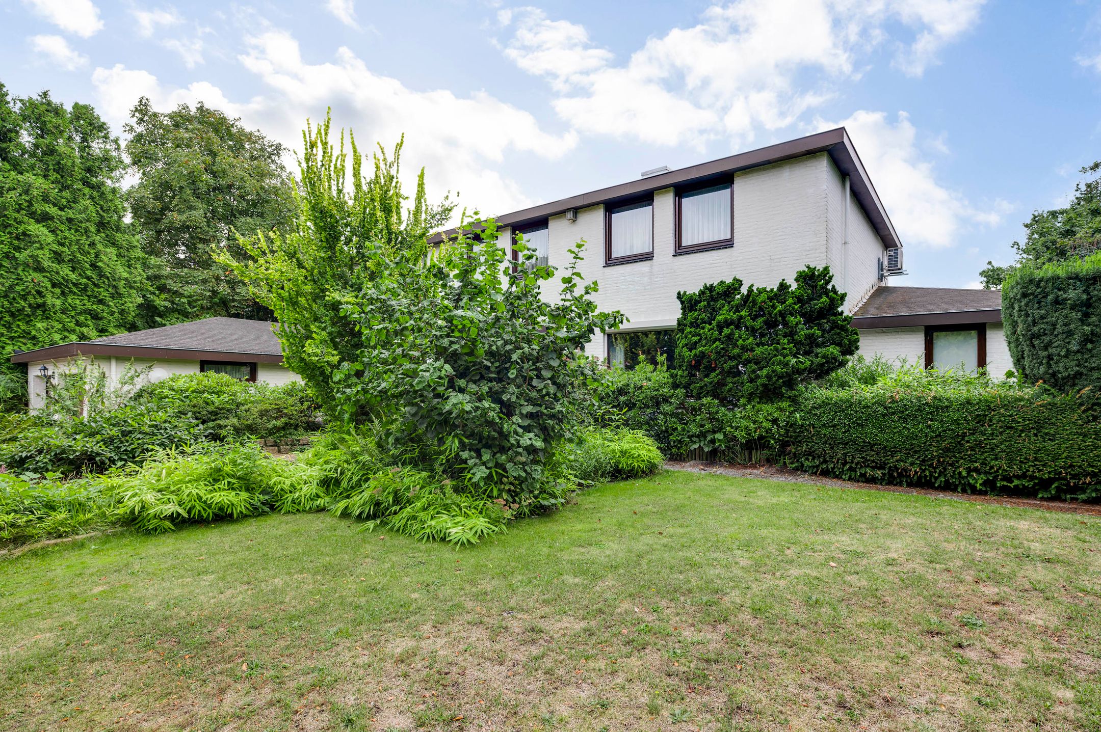 Foto 3 van Belleboom 29