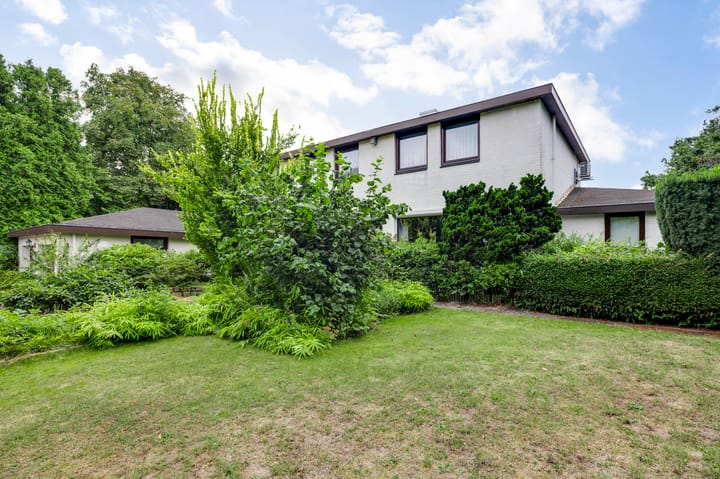 Foto 3 van Belleboom 29