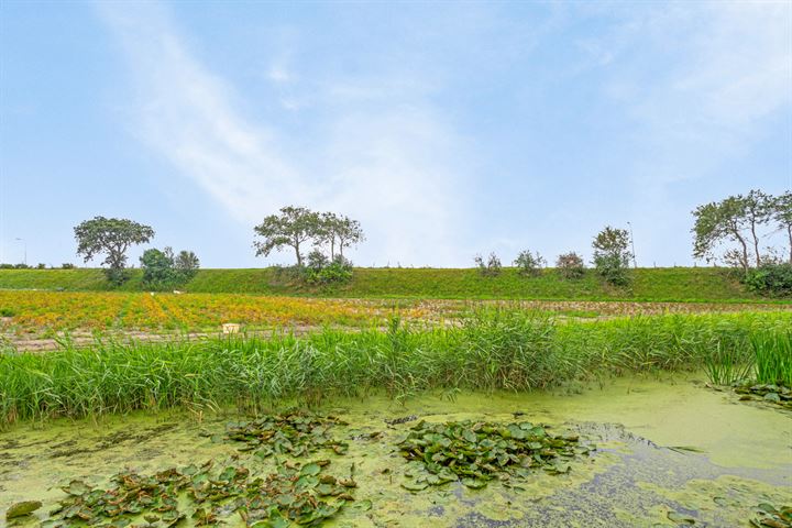 Bekijk foto 58 van Veenenburgerlaan 58-A