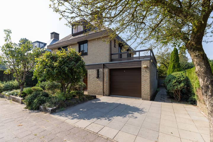 Foto 39 van Graaf Lodewijklaan 7