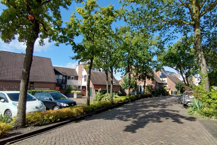 View photo 3 of Nienhuis Ruijskade 78