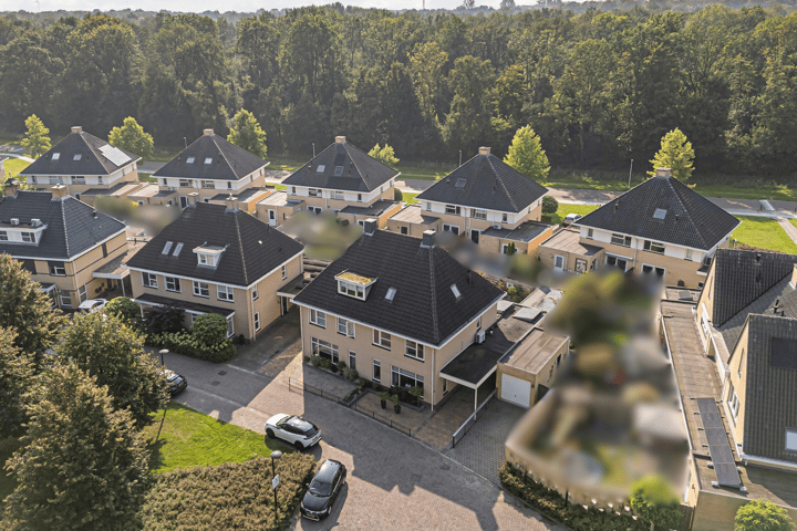 Foto 5 van Sterhyacint 2