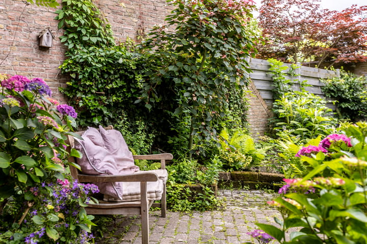 Foto 16 van Weidezoom 8