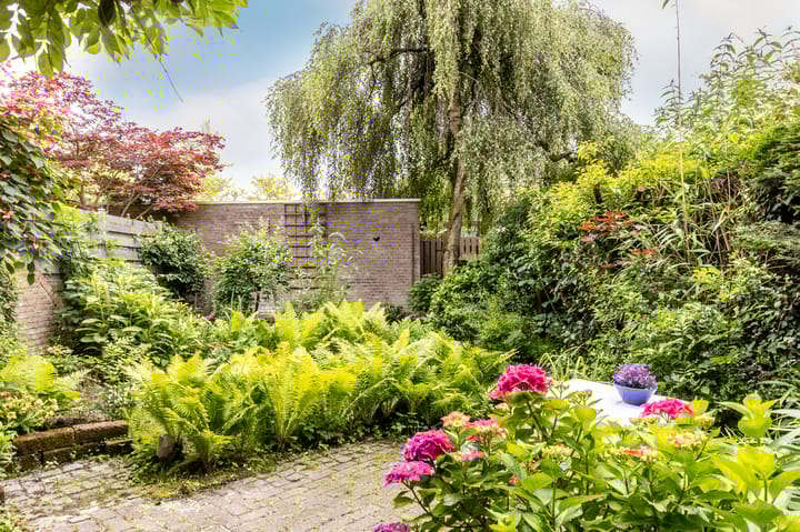 Foto 18 van Weidezoom 8