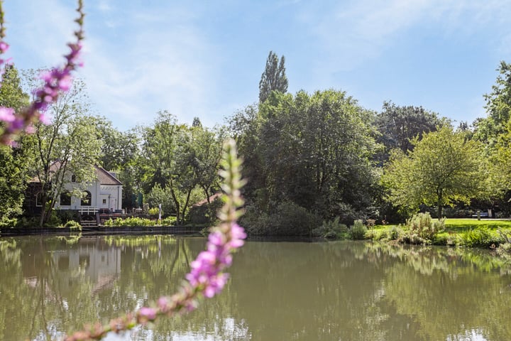 Bekijk foto 24 van Javaplantsoen 18-H