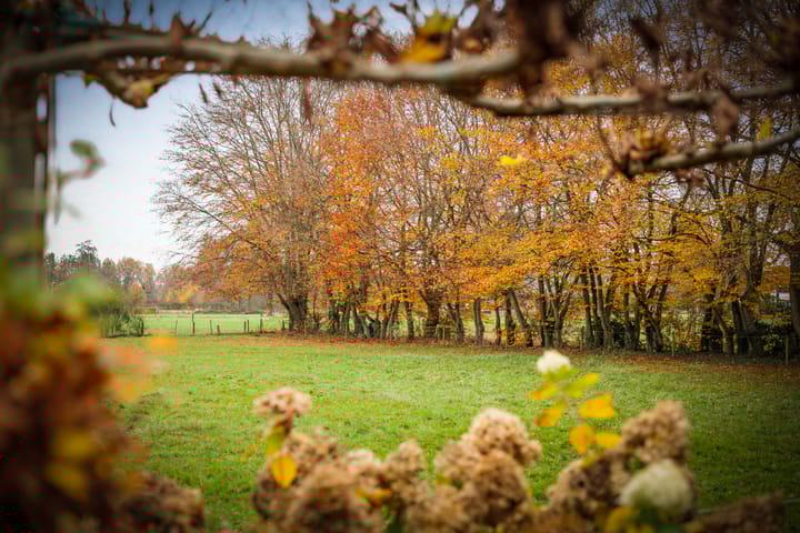 Foto 46 van Korte Kopermolenweg 1