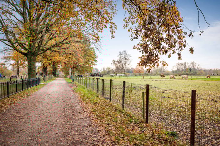 Foto 53 van Korte Kopermolenweg 1