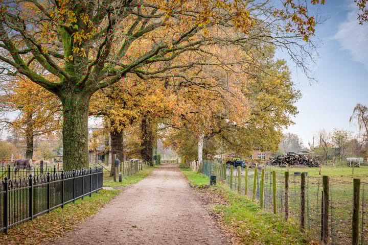 Foto 54 van Korte Kopermolenweg 1