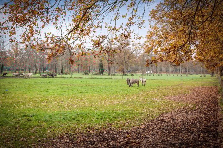 Foto 56 van Korte Kopermolenweg 1