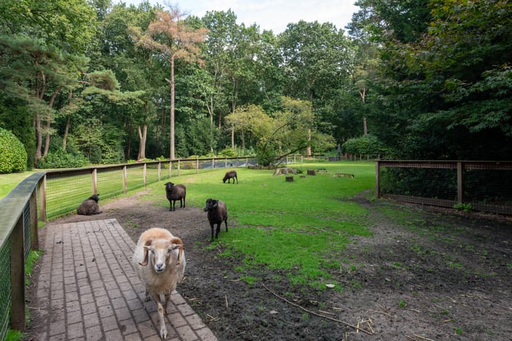 Foto 36 van Baarnseweg 8