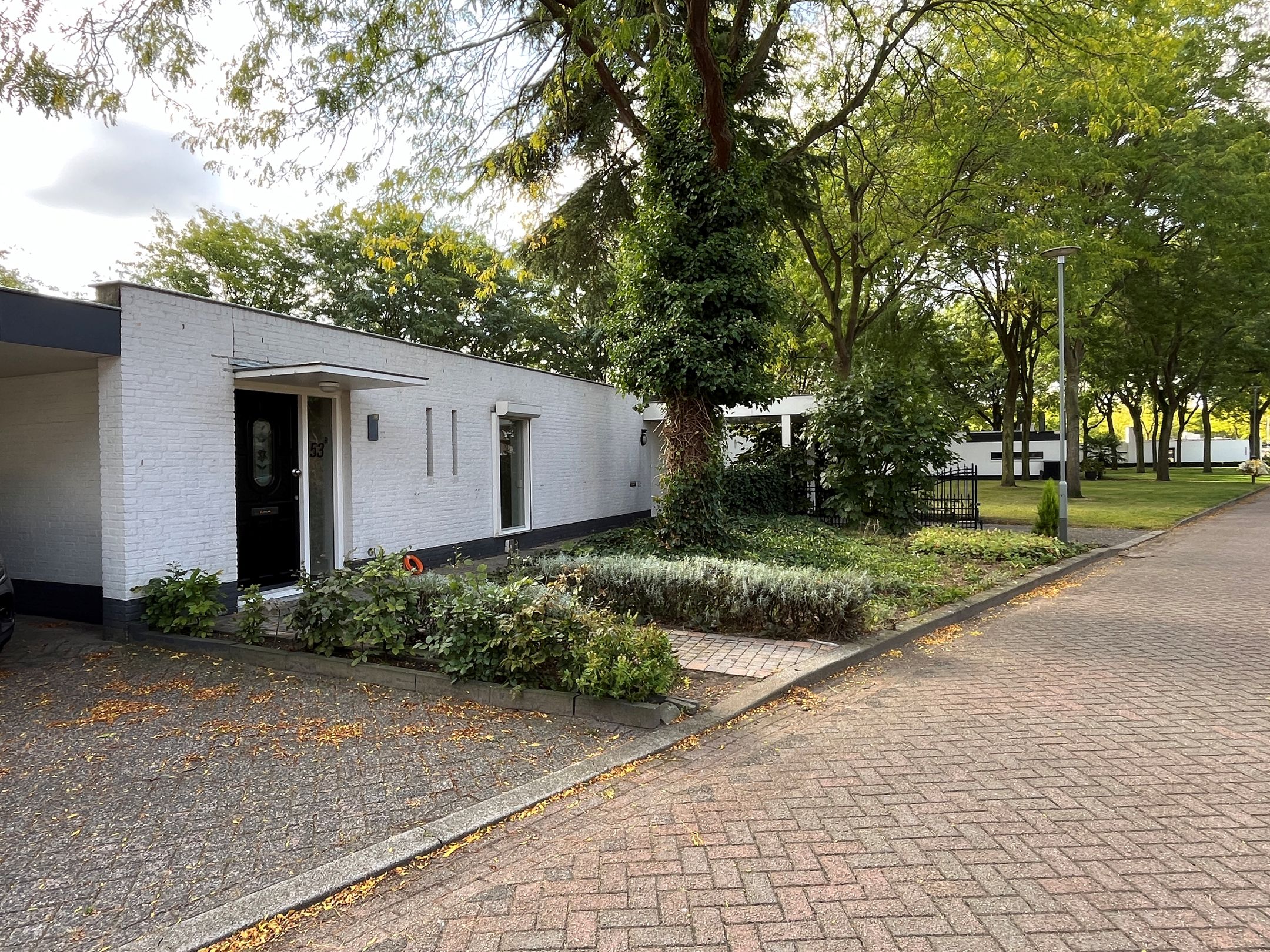 Penningkruid 53-A 53 A