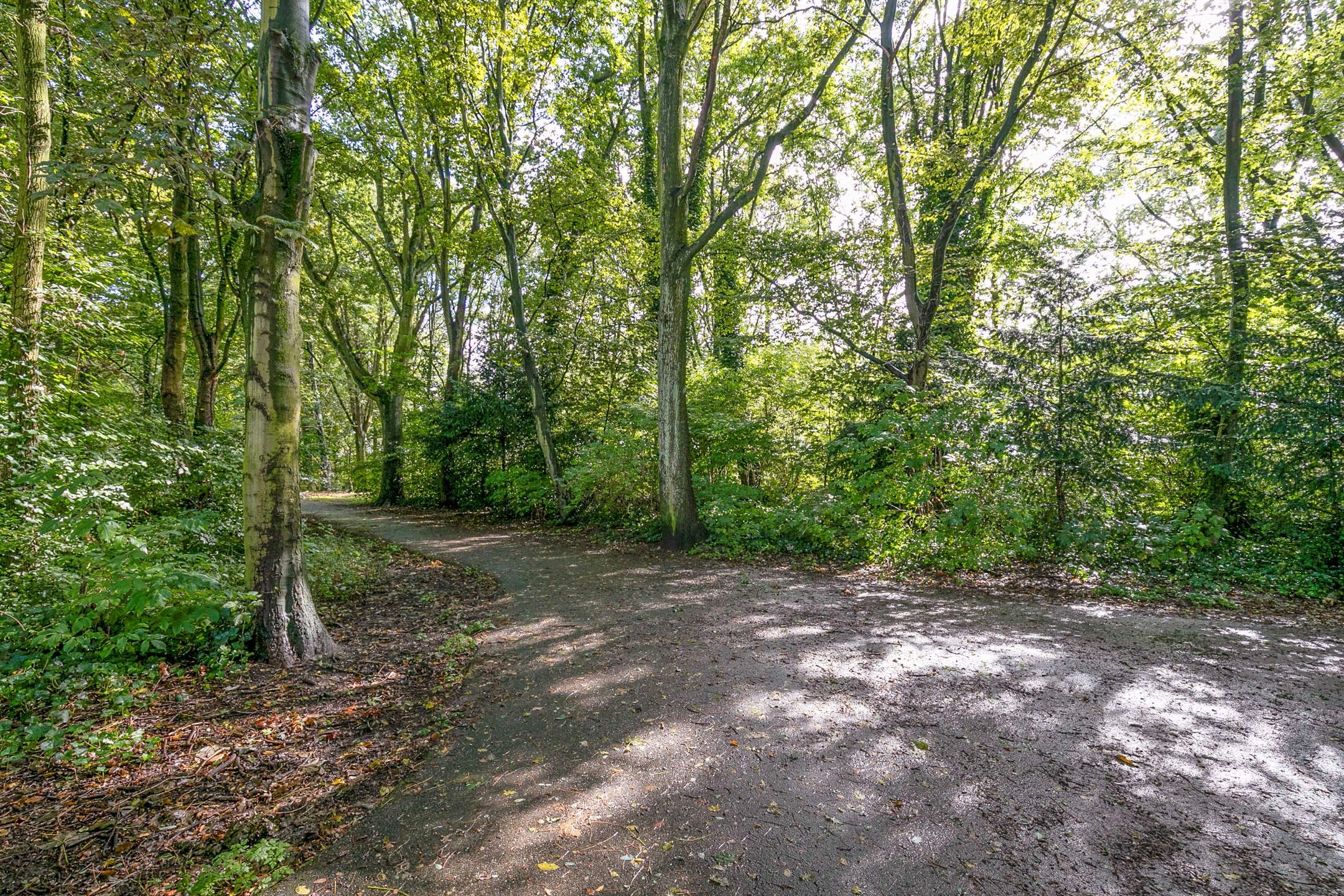 Foto 36 van Burgemeester Knappertlaan 243-B