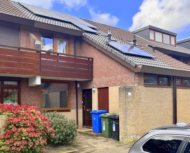 Foto 2 van Rupsklaver 24