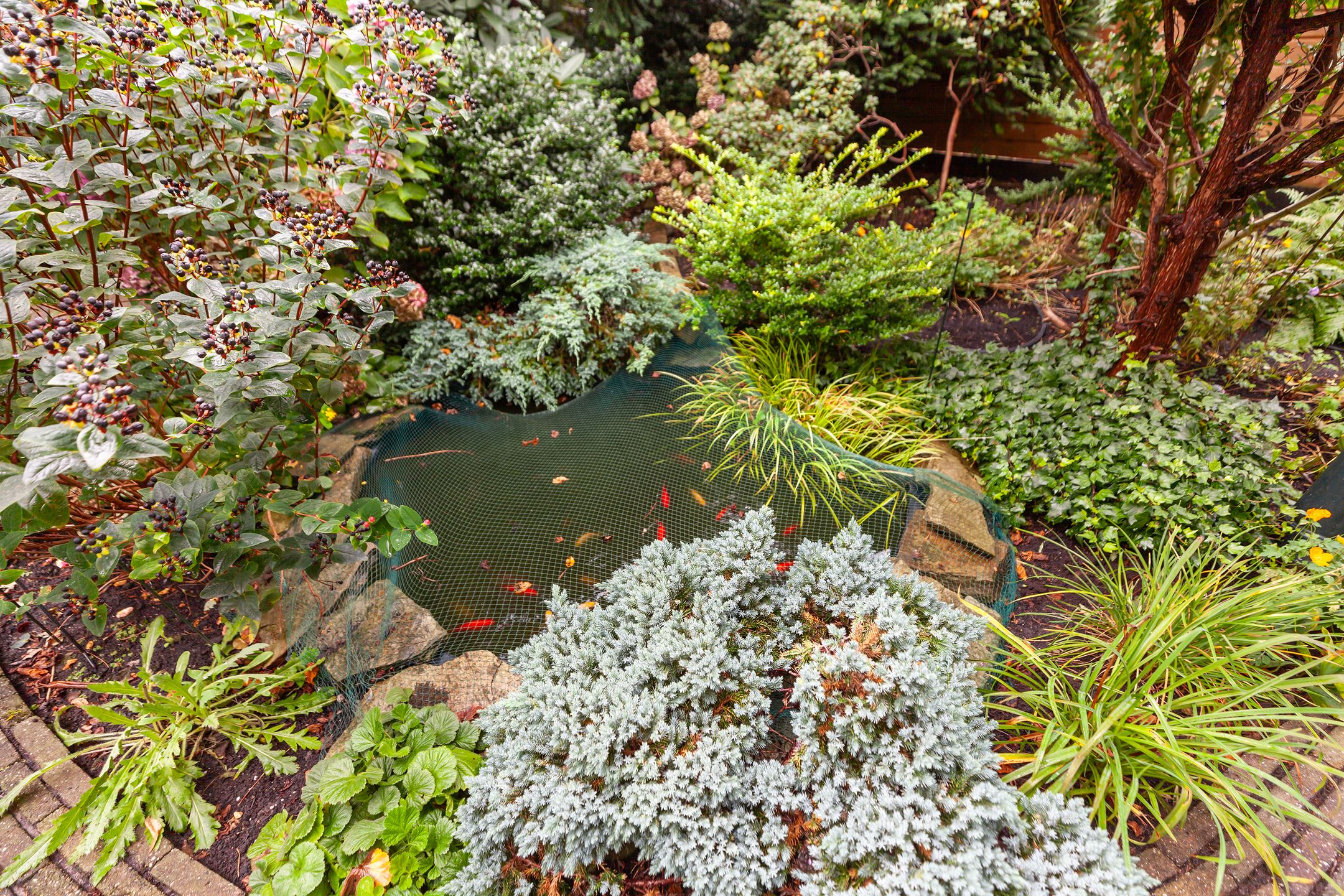 Foto 27 van Hoflaan 37